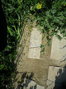CIMETIERE DE TAMAZOUHET D ORAN EN MARS 2012  (38)